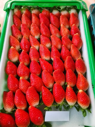 논산. 이순자님의 작성글 사진