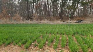 농부아내님의 작성글 사진