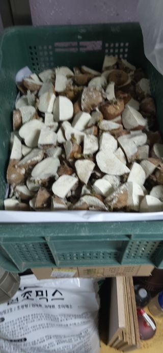 김영문님의 자유주제 · 자유게시판 작성글 사진