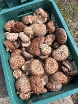 팜모닝 자유주제·자유게시판 게시글 이미지