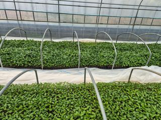 김영진(전남영광)님의 자유주제 · 자유게시판 작성글 사진