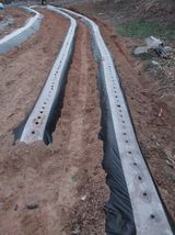 팜모닝 자유주제·자유게시판 게시글 이미지