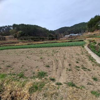 오영도님의 자유주제 · 자유게시판 작성글 사진