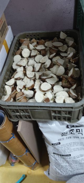 김영문님의 자유주제 · 자유게시판 작성글 사진