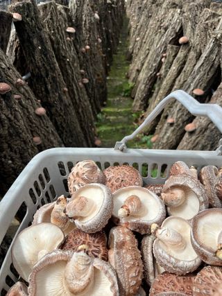 한밭농원님의 자유주제 · 자유게시판 작성글 사진