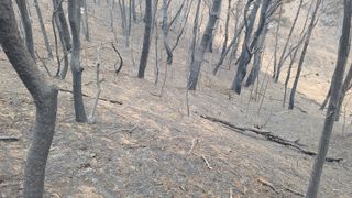 이동걸님의 자유주제 · 자유게시판 작성글 사진