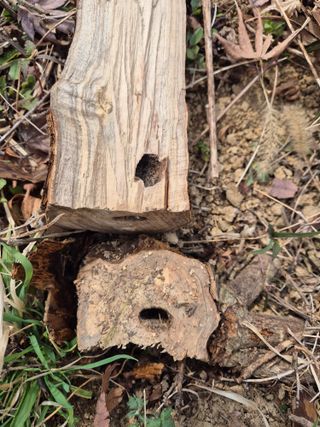 기중권님의 자유주제 · 자유게시판 작성글 사진