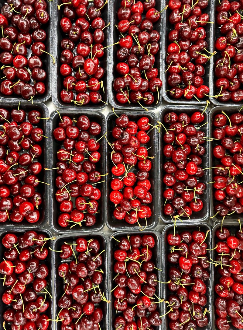 농부손녀님의 장터 판매 상품 [[과일계의 다이아몬드] 새콤달콤한 맛, 왕체리 생체리 5kg] 첨부 사진