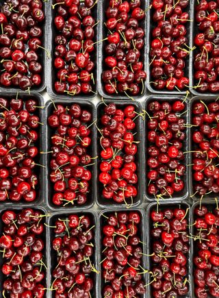 농부손녀님의 작성글 사진