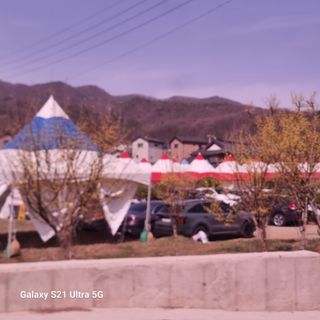 이천산수유님의 자유주제 · 자유게시판 작성글 사진