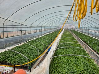 김영진(전남영광)님의 자유주제 · 자유게시판 작성글 사진