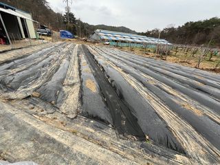 알 수 없음님의 2025 풍년들게 하소서! · 참여글 작성글 사진