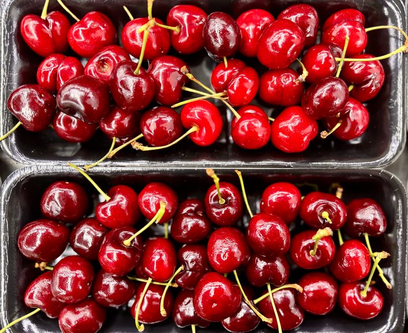 농부손녀님의 장터 판매 상품 [[과일계의 다이아몬드] 새콤달콤한 맛, 왕체리 생체리 5kg] 첨부 사진