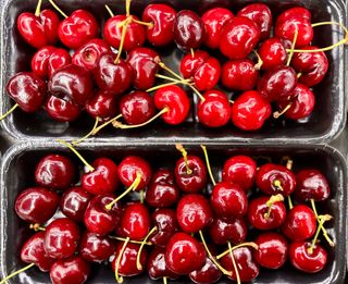 농부손녀님의 작성글 사진