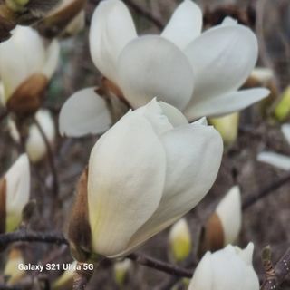 이천산수유님의 자유주제 · 자유게시판 작성글 사진