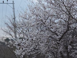 쌍둥이네농장님의 자유주제 · 자유게시판 작성글 사진