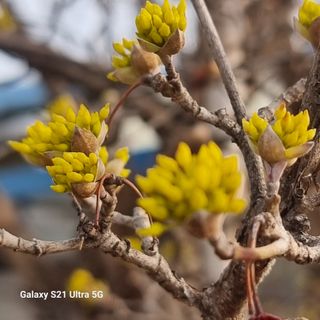 이천산수유님의 자유주제 · 자유게시판 작성글 사진