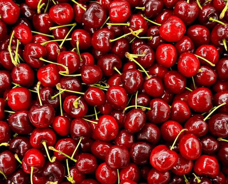 농부손녀님의 장터 판매 상품 [[과일계의 다이아몬드] 새콤달콤한 맛, 왕체리 생체리 5kg] 첨부 사진