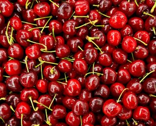 농부손녀님의 작성글 사진