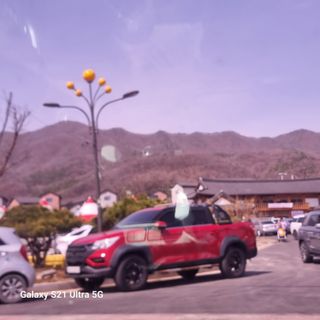 이천산수유님의 자유주제 · 자유게시판 작성글 사진