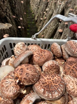 한밭농원님의 자유주제 · 자유게시판 작성글 사진