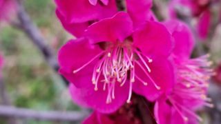 이정운님의 자유주제 · 자유게시판 작성글 사진