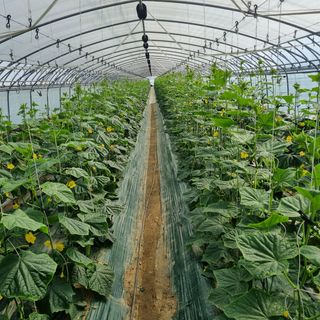 단지바이오님의 자유주제 · 자유게시판 작성글 사진