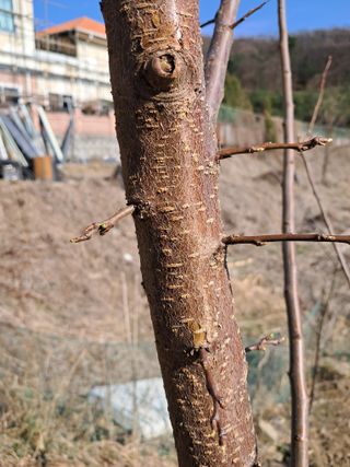 금적산신령님의 농사, 무엇이든 물어보세요! · 참여글 작성글 사진