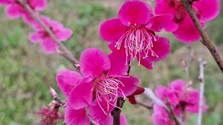 이정운님의 자유주제 · 자유게시판 작성글 사진