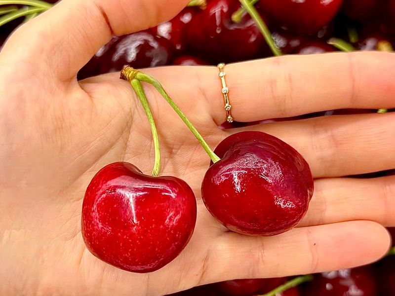 농부손녀님의 장터 판매 상품 [[과일계의 다이아몬드] 새콤달콤한 맛, 왕체리 생체리 5kg] 첨부 사진