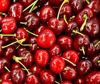 농부손녀님의 작성글 사진