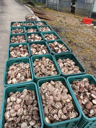 한밭농원님의 자유주제 · 자유게시판 작성글 사진