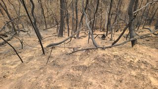 이동걸님의 자유주제 · 자유게시판 작성글 사진