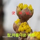 팜모닝 자유주제·자유게시판 게시글 이미지