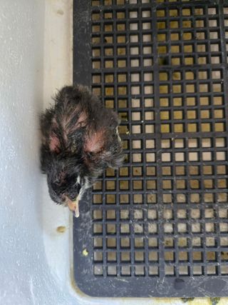 팜모닝회원 바이크농원님의 자유주제 · 자유게시판 작성글 사진