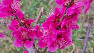 이정운님의 자유주제 · 자유게시판 작성글 사진