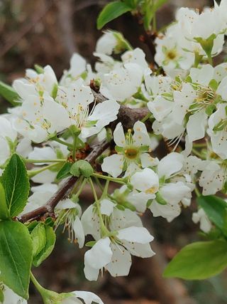 안길원님의 자유주제 · 자유게시판 작성글 사진