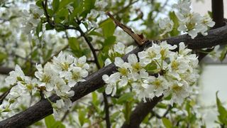 나의농장님의 자유주제 · 자유게시판 작성글 사진