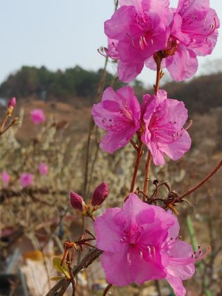 안길원님의 자유주제 · 자유게시판 작성글 사진