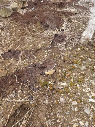 김용대님의 자유주제 · 자유게시판 작성글 사진