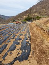 팜모닝 2025 풍년들게 하소서!·참여글 게시글 이미지