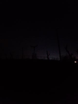 김용찬님의 2025 풍년들게 하소서! · 참여글 작성글 사진