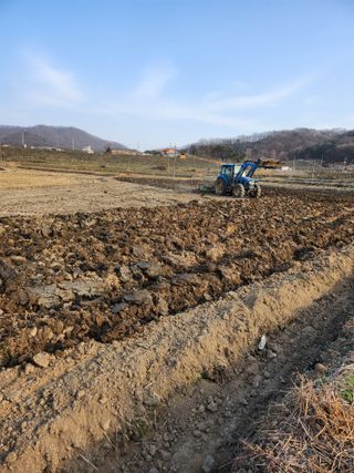 새싹농장님의 2025 풍년들게 하소서! · 참여글 작성글 사진