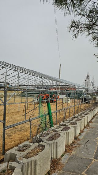 유진수님의 작성글 사진