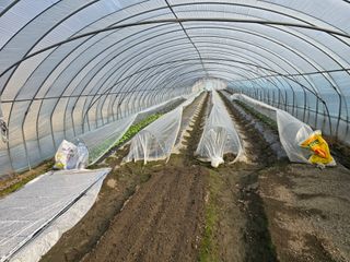 팜모님정보감사합니다님의 2025 풍년들게 하소서! · 참여글 작성글 사진