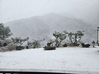 강원사랑인님의 자유주제 · 자유게시판 작성글 사진