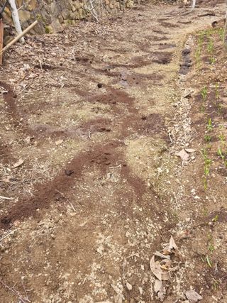 김용대님의 자유주제 · 자유게시판 작성글 사진