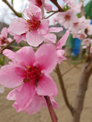 안길원님의 자유주제 · 자유게시판 작성글 사진