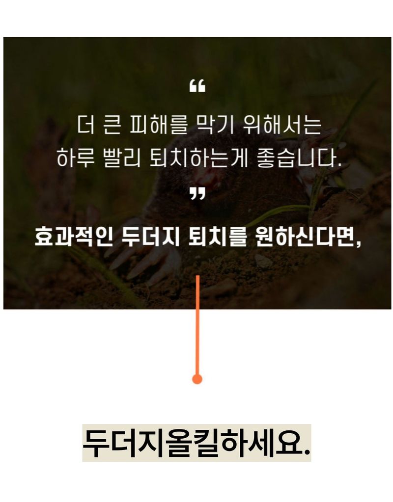 플랜큐님의 장터 판매 상품 [두더지약 두더지올킬] 첨부 사진