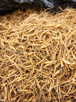 문귀순님의 자유주제 · 자유게시판 작성글 사진